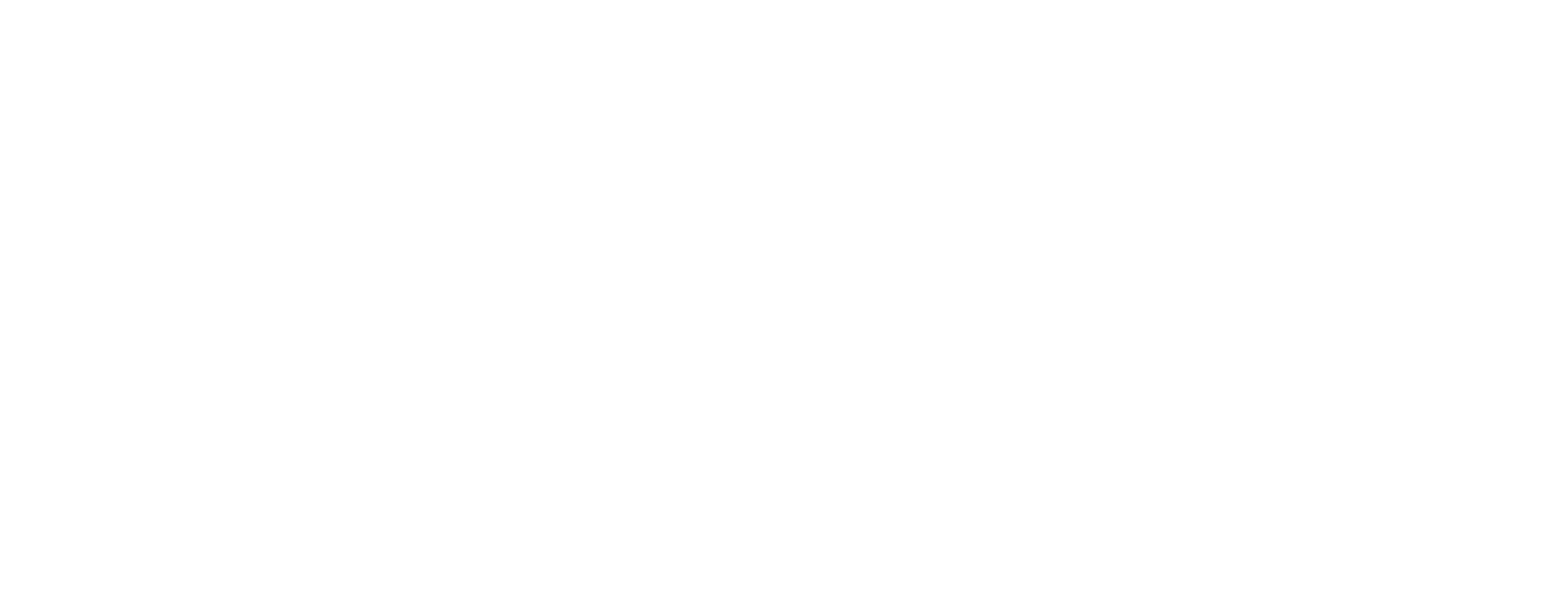 Precise Behavioral Logo White