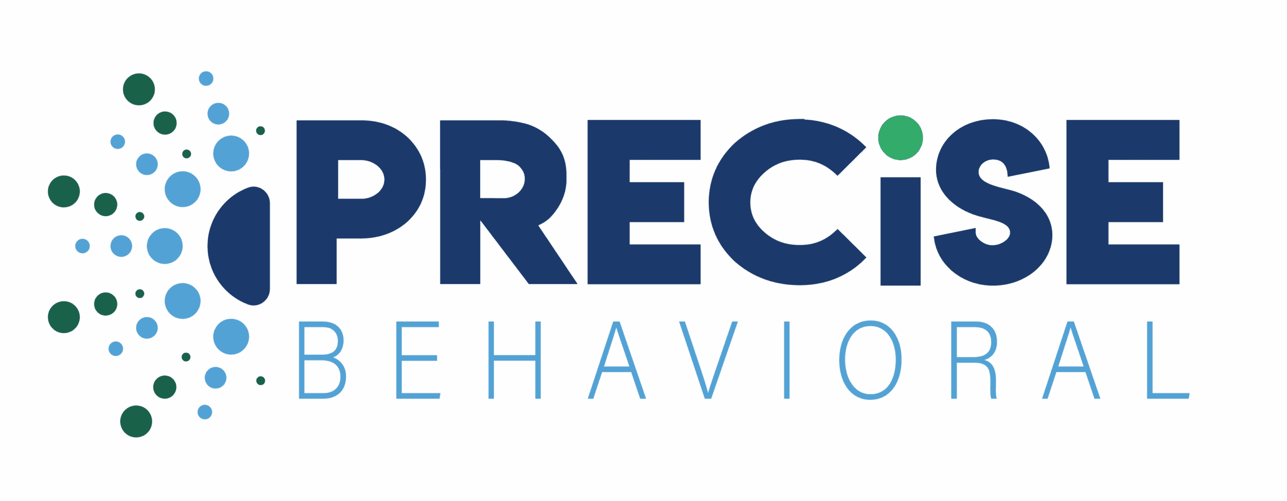 Precise Logo