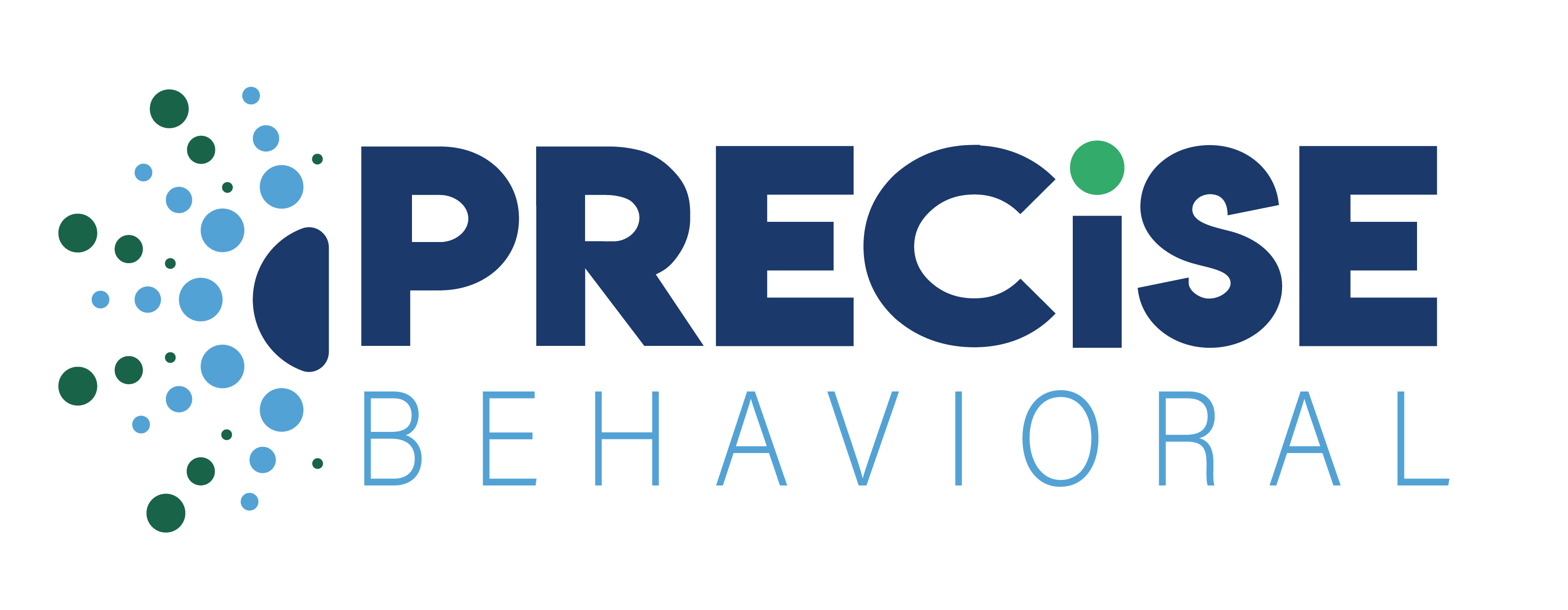 Precise Logo