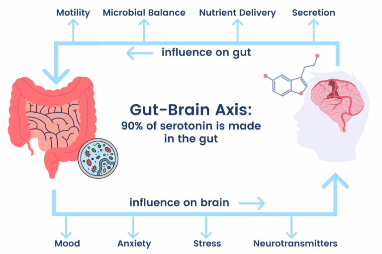 Gut Brain Axis