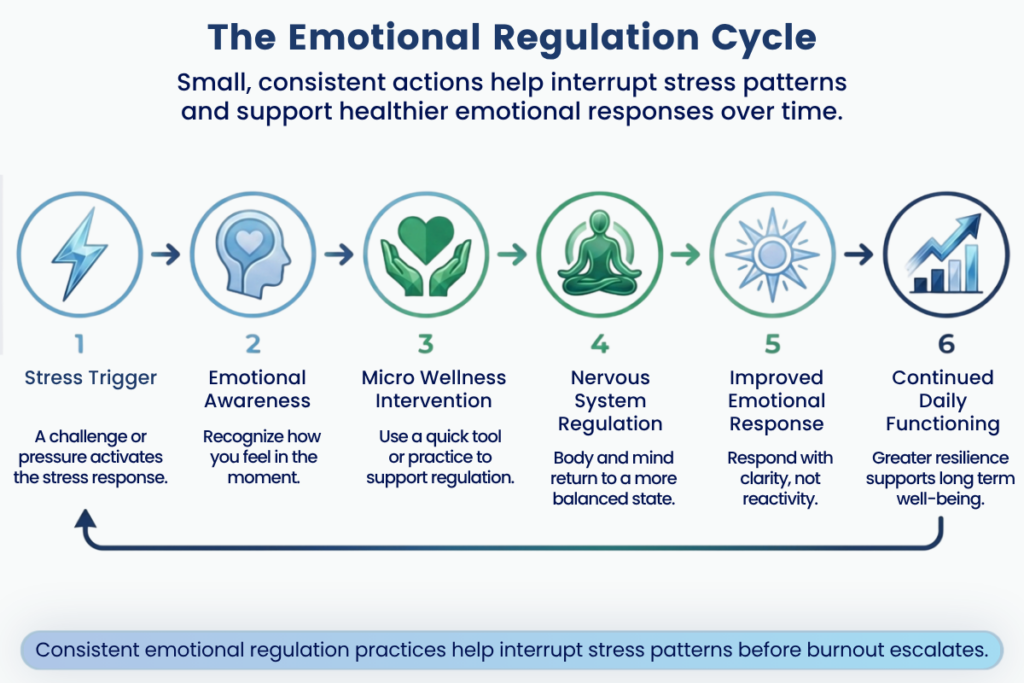 The Emnotional Regulation Cycle